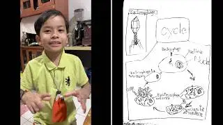 Bacteriophage ไวรัสทำลายแบคทีเรีย