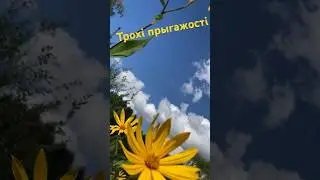 #жизнь #щука#пруды#беларусь