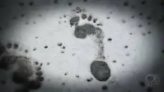 Barefoot in the snow in black tights