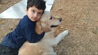 cute boy in love with Sijo #cute dog#funny dog and boy#cute video #funny video
