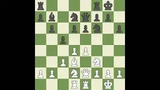 Kostadinov Rumen (BUL) VS Liangov Peter