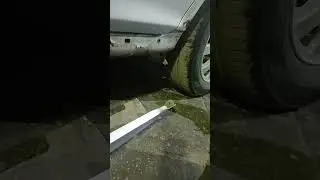 Соната. левая сторона