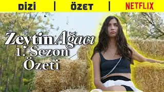 Zeytin Ağacı 1. Sezon Özet | Netflix
