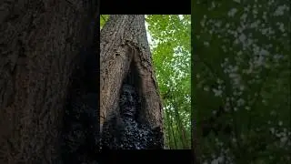 Things looks like SOMETHING 😨