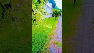 today Islamabad weather #islamabad #weather