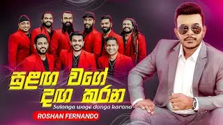 Sulanga Wage Danga Karana (සුළඟ වගේ දඟ කරන) Flashback Dodangoda Show | Roshan Fernando Official