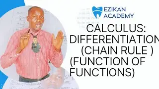 Calculus: Differentiation (Chain Rule / Function of Functions) Mathematics / Quantitative Analysis