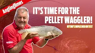 The best method for summer carp fishing - and the kit you need to do it!