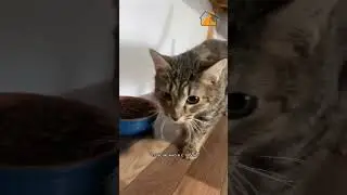 Можно я с тобой? 🧡
