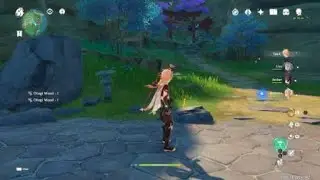 Genshin Impact - Farming Pine Wood in Inazuma