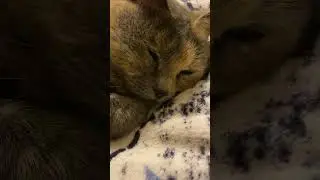 ДААААААА 😂