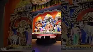 Pioneer kali pujo || Barasat kali pujo || Best kali pujo Barasat