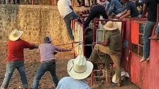 Junio 8 2024 Comala jalisco