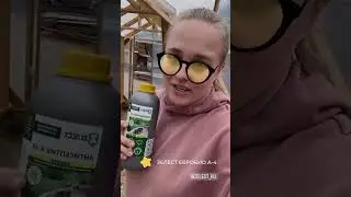 🔥 Купольная #Теплица обработанная Антисептиком #ЗЕЛЕСТ ЕВРОБИО А-4 #handmade  #shortsviral