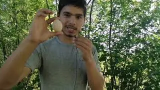 Возможно раздавить яйцо одной. Рукой?