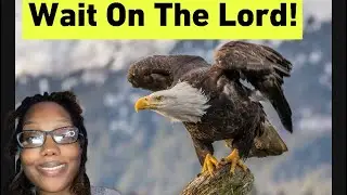 Isaiah 40:31 | mount up with wings like eagles.