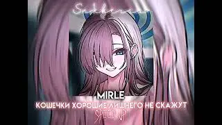 Mirle - Кошечки хорошие лишнего не скажут (Speed up)