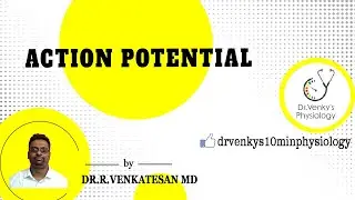 Action Potential