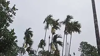 balwa tarakenga chingode 🌧🌧