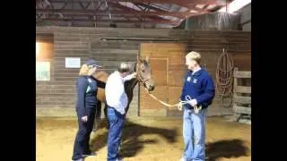 Boulder Ridge Equine Business and Horsemanship Workshop