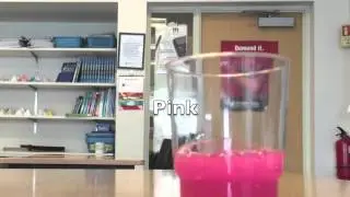 Science Polymer Project
