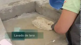 Proceso de lavar lana