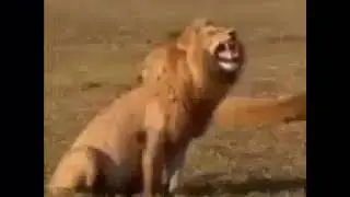 Пока женщина пела и танцевала, у неё слетели трусы!!!