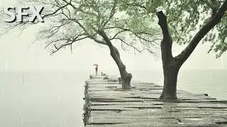 Rain in Lake Ambience