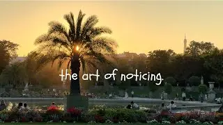 The art of noticing. People watching in Paris.