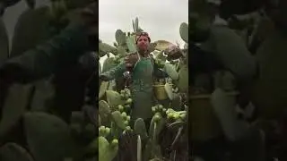 بشر خارقون للغاية