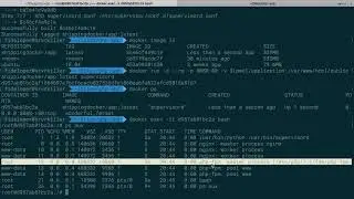 Running Multiple Processes