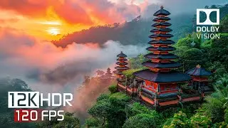 12K HDR 120fps - Magical Dolby Vision Demo