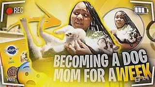 I tried being a dog mom for a WEEK (FAIL) | Siberian Husky Puppy