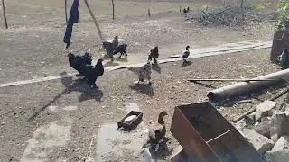 в гостях у Братухи ! ...трішки