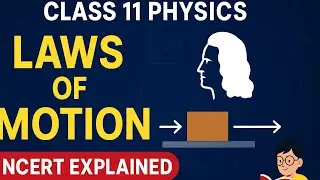 Class 11 Physics | Laws of Motion | NCERT Full Chapter Explanation in Simple Way
