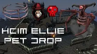 Hardcore Ironman Fapo gets Chaos Elemental Boss Pet (1551 kills 2463 level)
