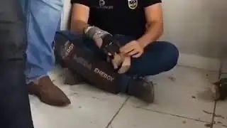CANTOR WESLEY SAFADÃO ASSUMI QUE É VICIADO EM VAQUEJADA E QUE CANTA PENSANDO EM BOI !!!🤣