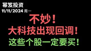 第1325期「幂笈投资」11/11/2024 特斯拉独秀，其他大科技开始回调 ｜ 这些个股利好，一定要买！｜ moomoo