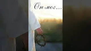 #стихи