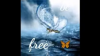Be free ||vidya vox status|| Pallivaalu Pallivaalu Kali thudangi Pallivaalu Pallivaalu ||status