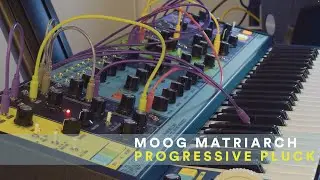 Moog Matriarch  - Progressive Pluck