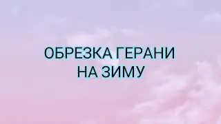 Как обрезать герань или пеларгонию. Обрезка герани на зиму.