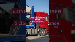 6 дона салон пачка
