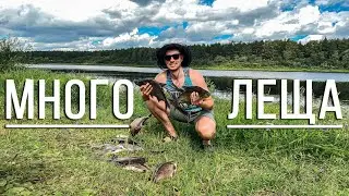 Моя лучшая рыбалка. Крупный лещ на фидер. Рыбалка с ночевкой.