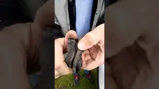 Опора corteco спустя несколько лет эксплуатации