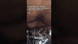STOP RIGHT THERE!