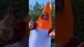 Tesla Traffic Cone Test