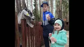 Лихолесье 08.05.22