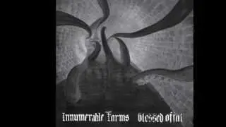 Innumerable Forms 