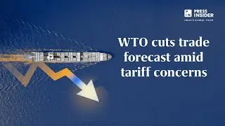 WTO cuts trade forecast amid tariff concerns